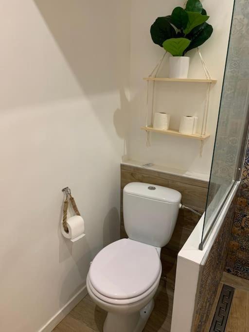 Studette Le Figuier Apartment